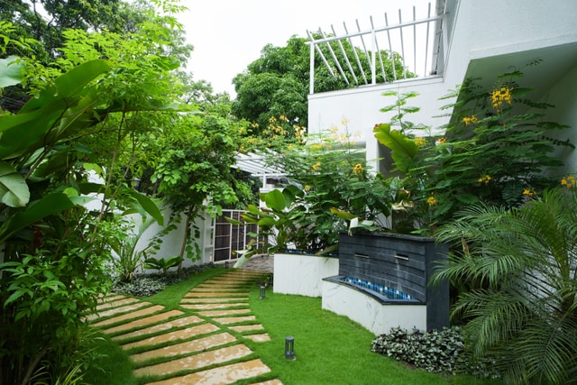 Garden