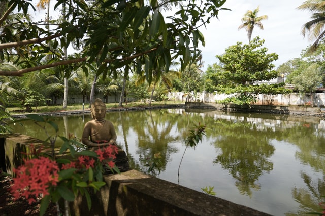 Pond