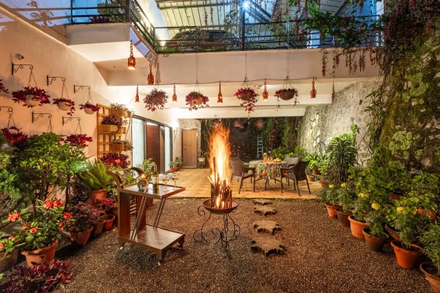 Garden
