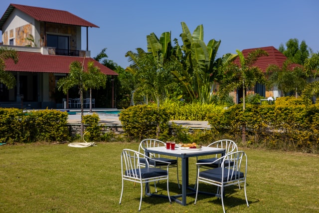 Garden 1