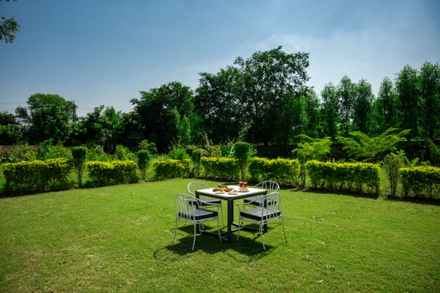 Garden 2